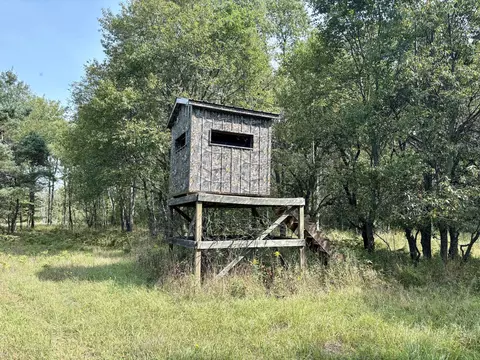 Johnson Road, Kaleva, MI 49645 photo 6