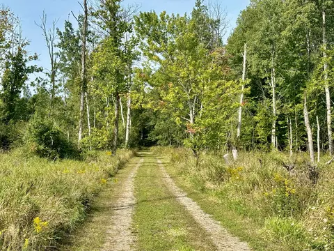 Johnson Road, Kaleva, MI 49645 photo 17