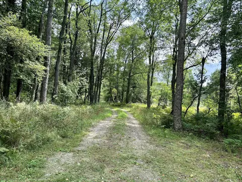 Johnson Road, Kaleva, MI 49645 photo 13