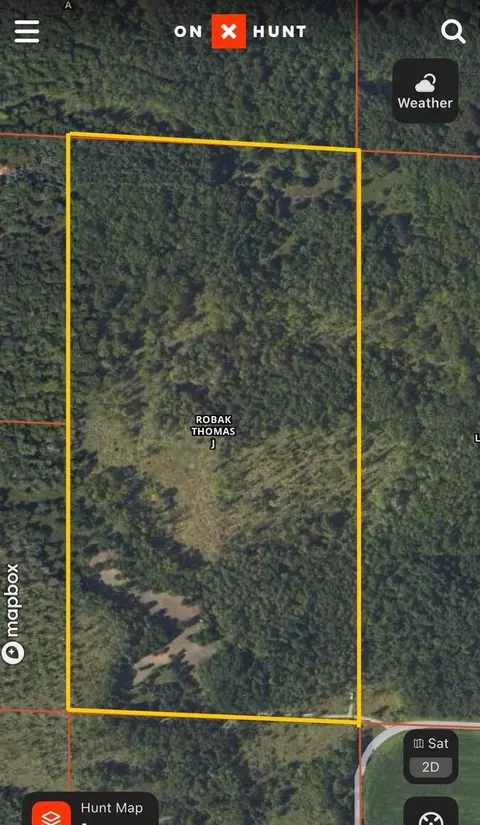 Johnson Road, Kaleva, MI 49645 photo 32