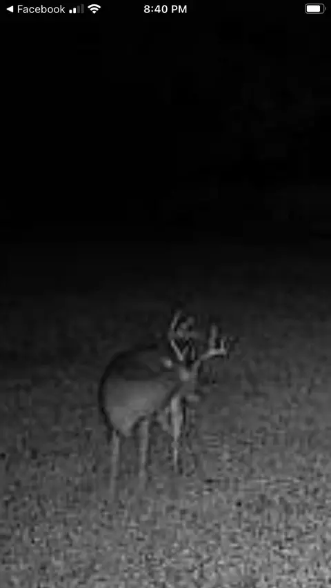 Johnson Road, Kaleva, MI 49645 photo 27