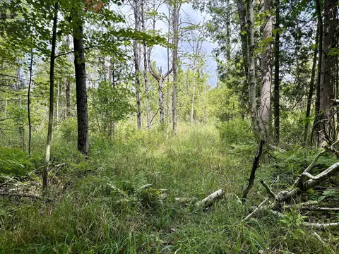 Johnson Road, Kaleva, MI 49645 photo 14