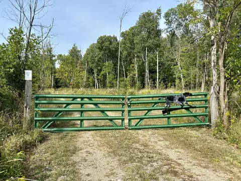 Johnson Road, Kaleva, MI 49645