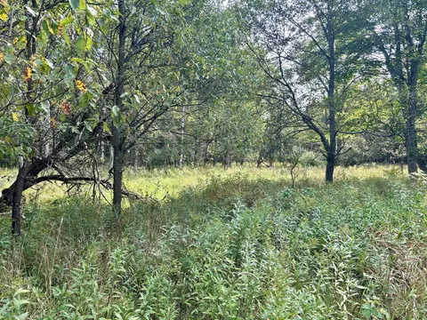 Johnson Road, Kaleva, MI 49645 photo 16