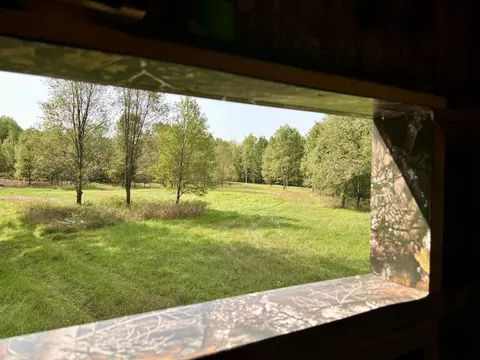 Johnson Road, Kaleva, MI 49645 photo 8