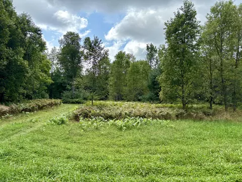 Johnson Road, Kaleva, MI 49645 photo 11