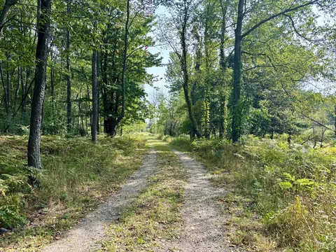 Johnson Road, Kaleva, MI 49645 photo 2