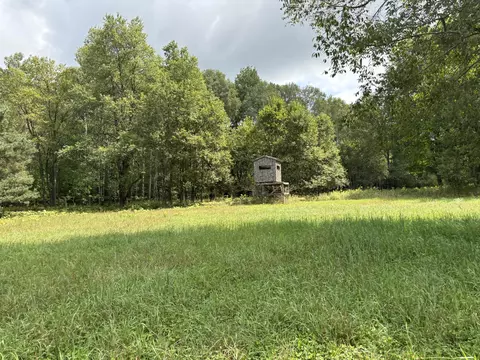 Johnson Road, Kaleva, MI 49645 photo 5