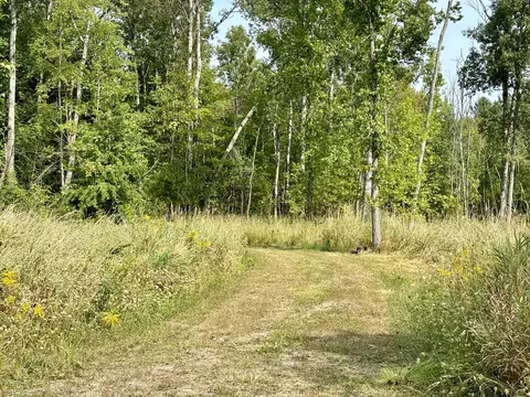 Johnson Road, Kaleva, MI 49645 photo 3