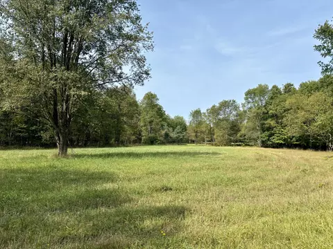 Johnson Road, Kaleva, MI 49645 photo 10