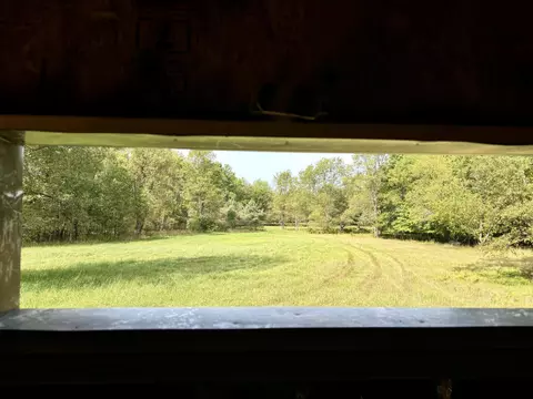 Johnson Road, Kaleva, MI 49645 photo 7