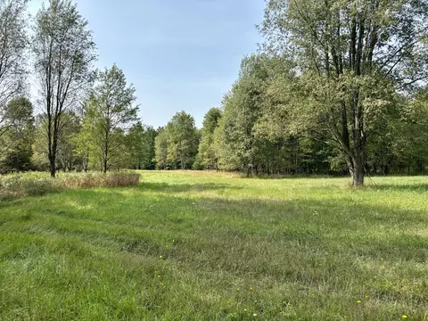 Johnson Road, Kaleva, MI 49645 photo 9