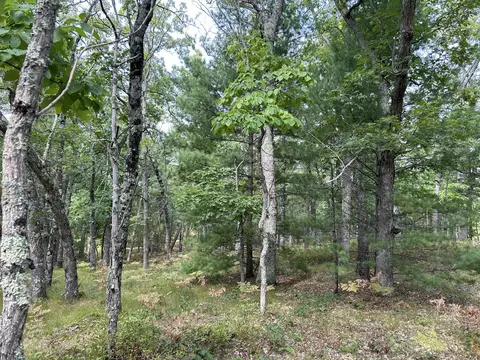 Par J S Mac Road, Branch, MI 49402