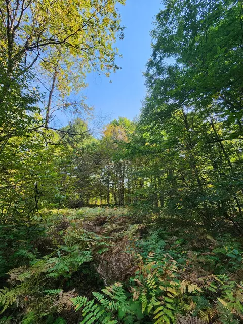 965 W 38 Rd, Boon, MI 49618 photo 46