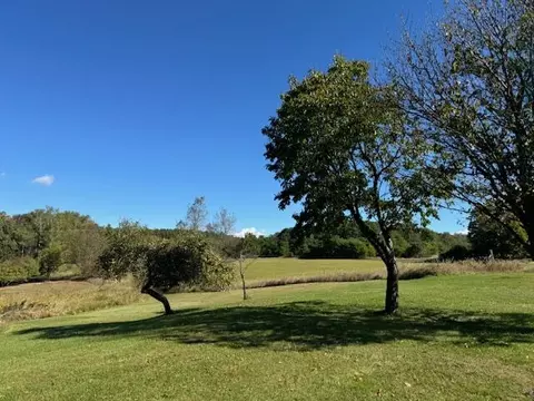 10158 Us 10, Chase, MI 49623 photo 5