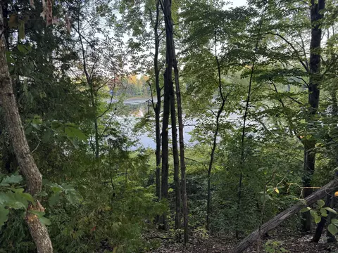 Vl W Timberline Drive, Rothbury, MI 49452