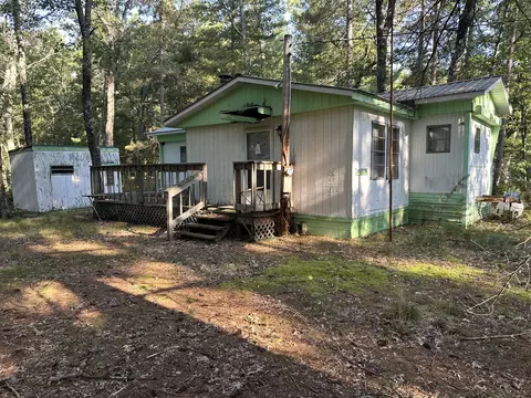 11801 S Shady Grove Dr, Baldwin, MI 49304