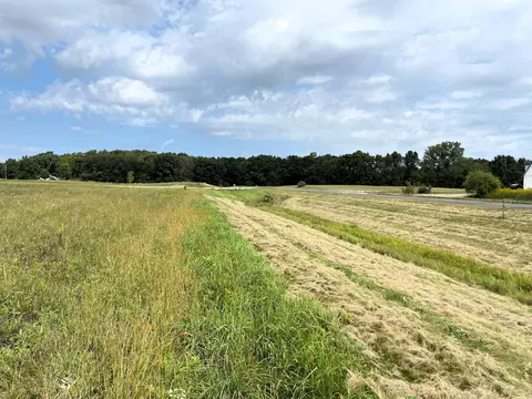 Gregory Ridge Lot 1 Road, Gregory, MI 48137 photo 9