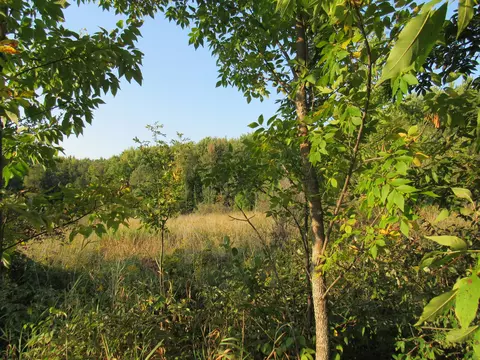V/l Hwy 10, Scottville, MI 49454