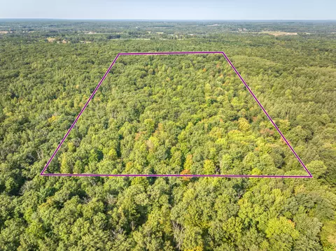 V/l 170th Avenue, Morley, MI 49336