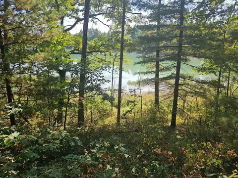 V/l Wilma's Way, Baldwin, MI 49304