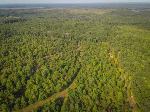 V/l E 16 Mile - A Road, Bitely, MI 49309