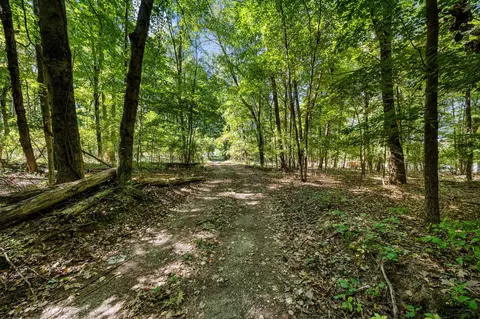 59846 County Line Rd, Three Rivers, MI 49093 photo 11