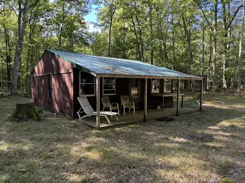 6837 N Lone Elk Rd, Irons, MI 49644