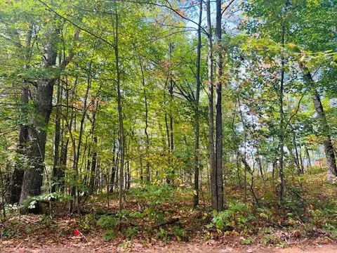 0 Ramona Park Ave, White Cloud, MI 49349