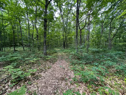 70 E Vl E Long Lake Rd, Harrison, MI 48625 photo 16