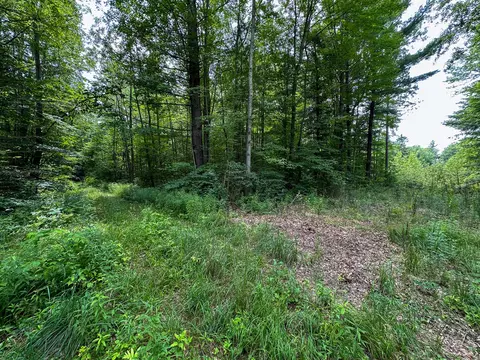 70 E Vl E Long Lake Rd, Harrison, MI 48625 photo 7