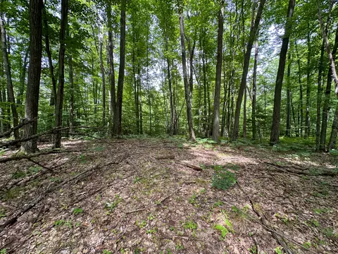 70 E Vl E Long Lake Rd, Harrison, MI 48625 photo 22