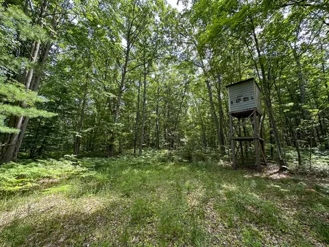 70 E Vl E Long Lake Rd, Harrison, MI 48625 photo 14