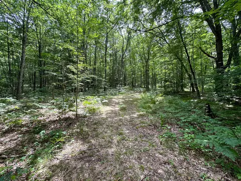 70 E Vl E Long Lake Rd, Harrison, MI 48625 photo 13