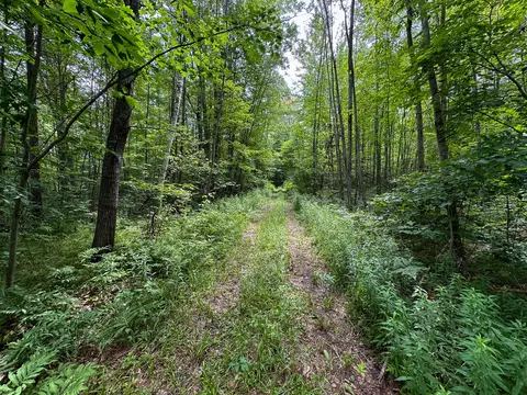 70 E Vl E Long Lake Rd, Harrison, MI 48625 photo 8