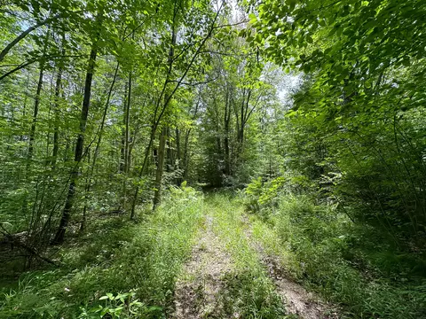 70 E Vl E Long Lake Rd, Harrison, MI 48625 photo 9
