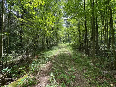 70 E Vl E Long Lake Rd, Harrison, MI 48625 photo 6
