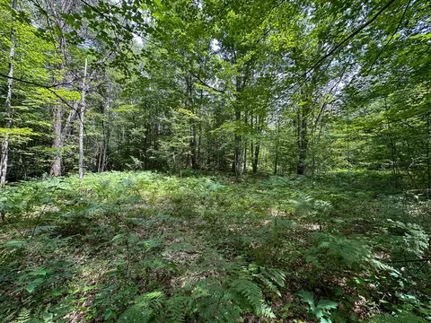 70 E Vl E Long Lake Rd, Harrison, MI 48625 photo 12
