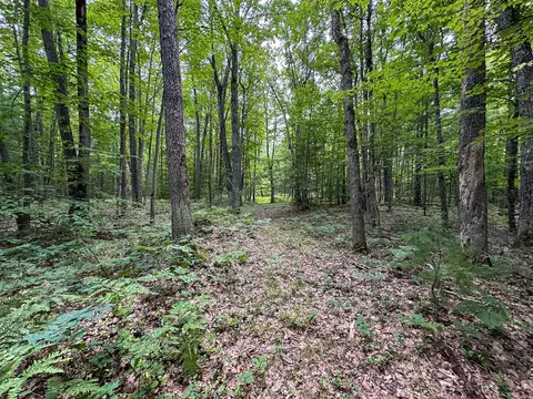 70 E Vl E Long Lake Rd, Harrison, MI 48625 photo 18