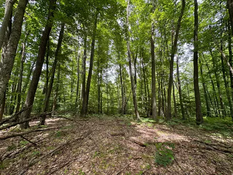 70 E Vl E Long Lake Rd, Harrison, MI 48625 photo 24