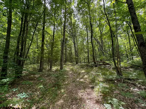70 E Vl E Long Lake Rd, Harrison, MI 48625 photo 25