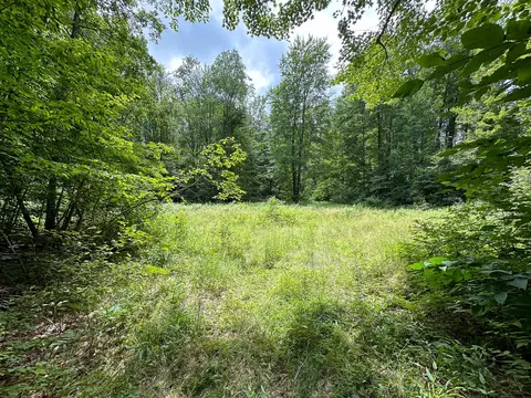 70 E Vl E Long Lake Rd, Harrison, MI 48625 photo 10