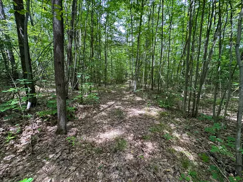 70 E Vl E Long Lake Rd, Harrison, MI 48625 photo 19