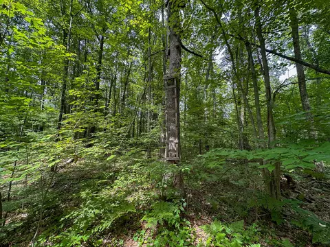 70 E Vl E Long Lake Rd, Harrison, MI 48625 photo 20