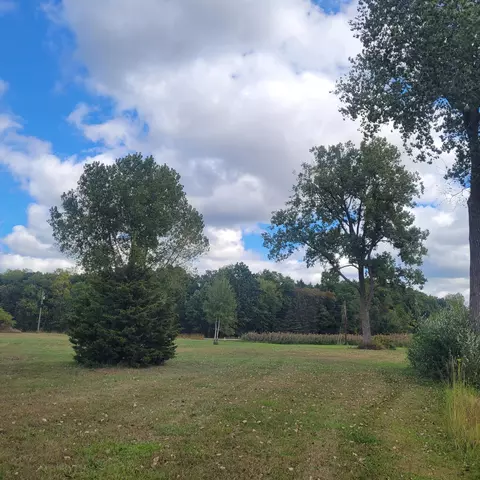 V/l Round Lake Highway, Manitou Beach, MI 49253