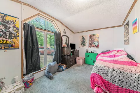 1480 Schondel St, White Cloud, MI 49349 photo 18