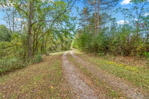 2631 E Camden Rd, Camden, MI 49232 photo 39