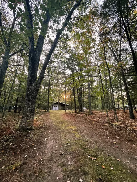 8751 N Squaw Lake Rd, Irons, MI 49644