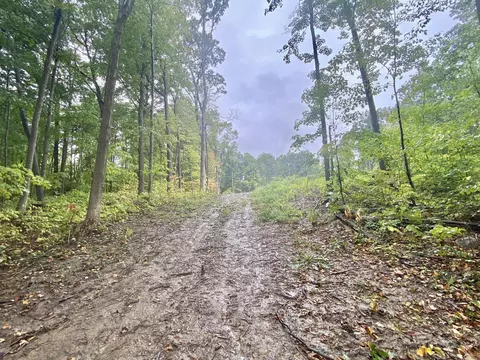 8000 Stephenson Rd, Onsted, MI 49265