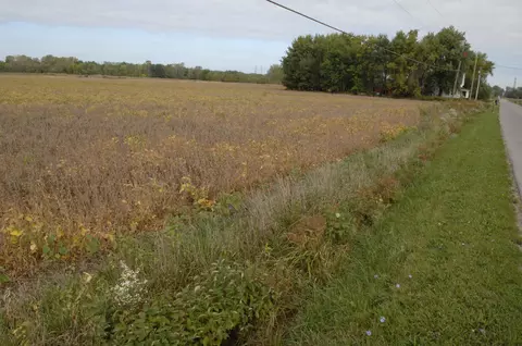 Holden Road, Bridgman, MI 49106